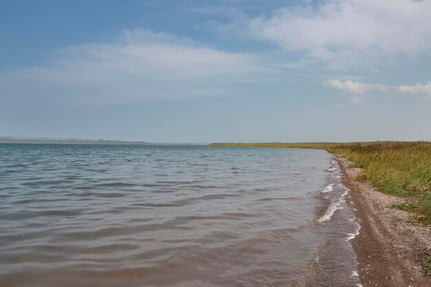 Shore of the lake with reeds on a summer day Beauty of nature