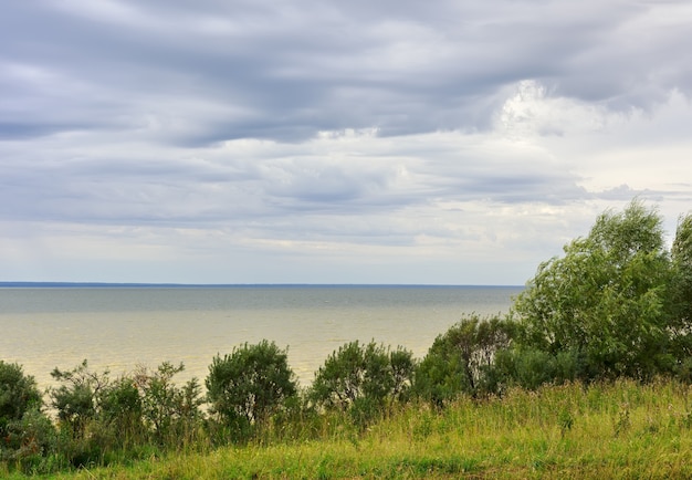 Shore of the Ob sea in the summer