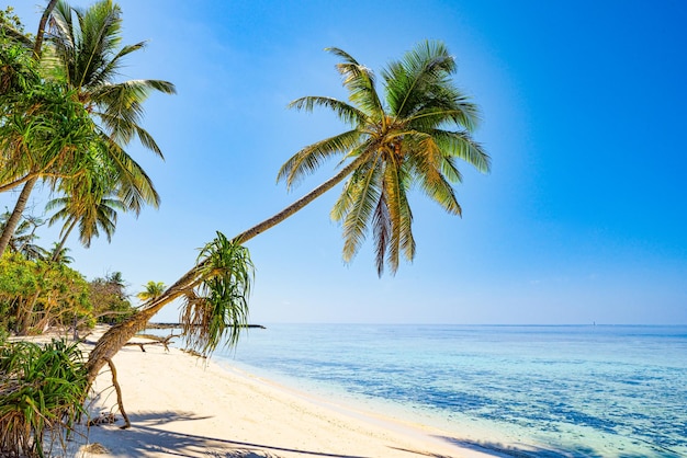 Shoreline of a tropical island in the Maldives and view of the Indian Ocean