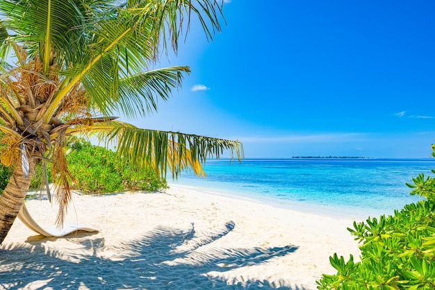 Shoreline of a tropical island in the Maldives and view of the Indian Ocean