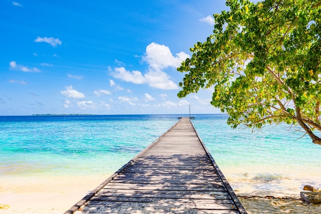 Shoreline and wooden jetty extending into the Indian Ocean Maldives