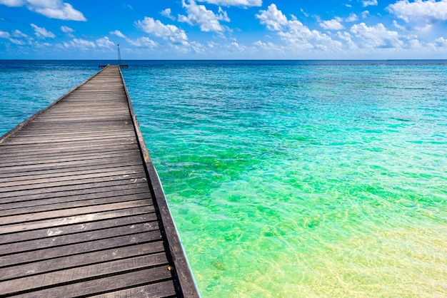 Shoreline and wooden jetty extending into the Indian Ocean Maldives