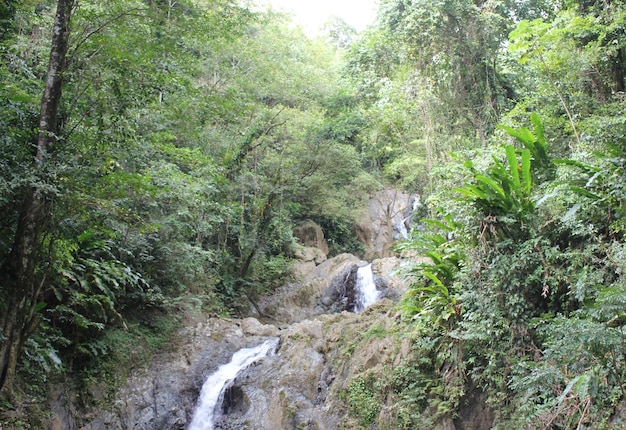 Shot of Argyle waterfalls in the Caribbean, Roxborough, Trinidad &amp; Tobago