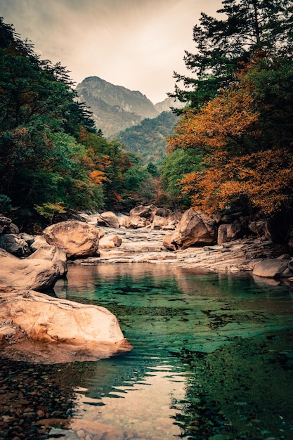 Shot of fall in Sepraksan National park in South Korea