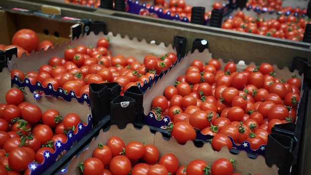 Shots of containers with ripe red tomatoes in the food passage in the supermarket Natural food for a healthy diet The concept of healthy food