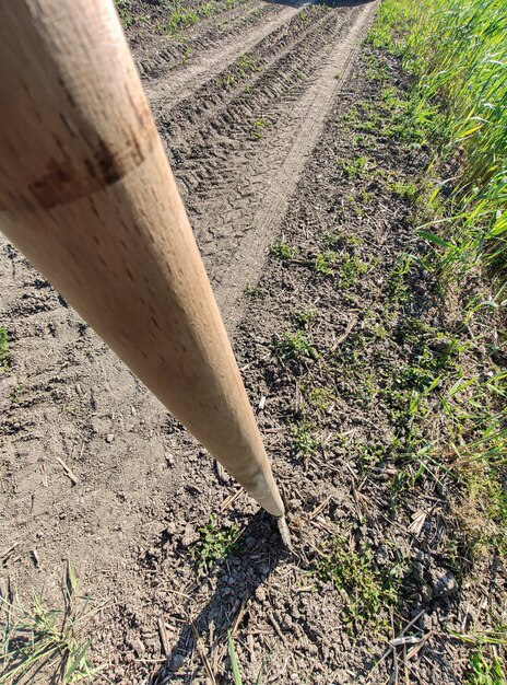 Shovel on earth used by an agricultural worker in a sunny day