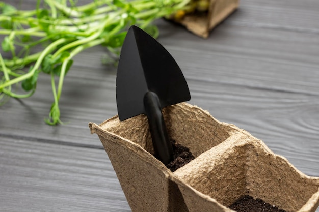 Shovel for planting seedlings in a peat pot