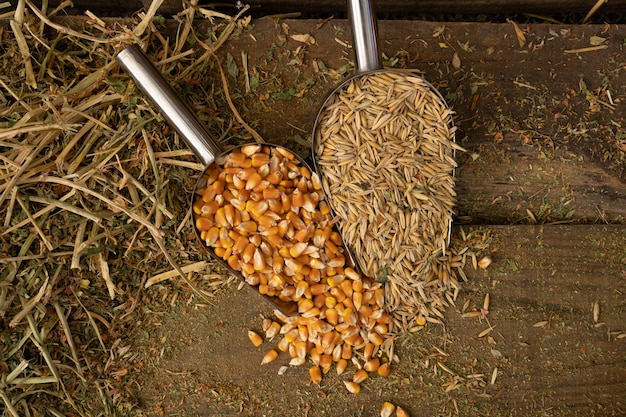 Shovel spoons with horse food ingredients