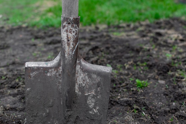 A shovel stuck in the ground Preparatory work before planting in the garden Selective focus Closeup