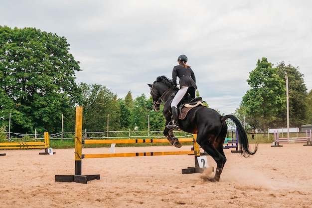 Show Jumping Horse and Rider