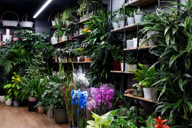 Showcase of a florist shop selling flower plants