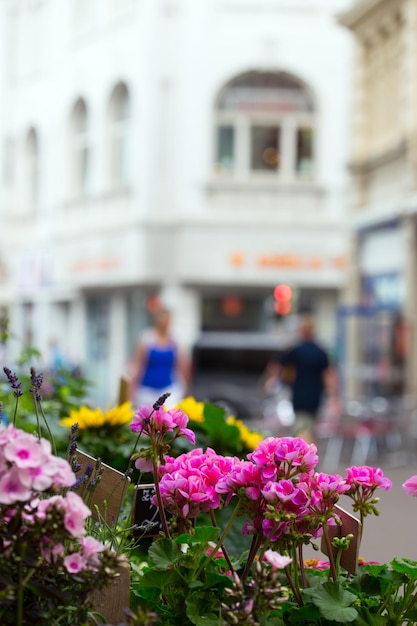 Showcase of flower shop