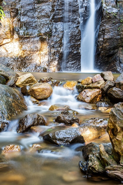 Shower Waterfall in Horto of Rio de Janeiro