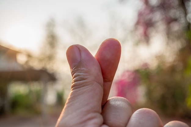 Showing mini heart or heart-shaped hands during morning sunrise.