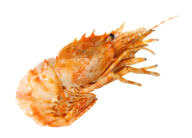 A shrimp with orange skin and red skin is on a white background.