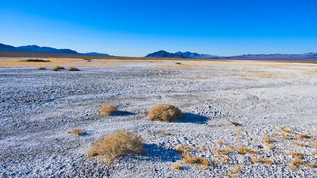 Shrubs in white sand desert landscape aerial by Death Valley