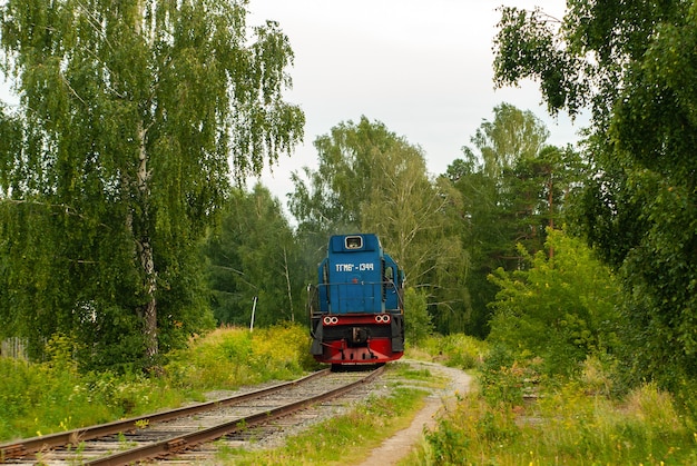 shunting locomotive TGM6 on a railway line among the forest