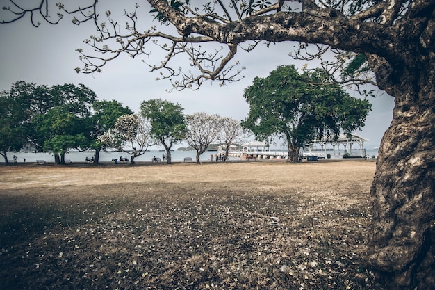 Si Chang Island in evening.thailand,si chang island, Koh si chang