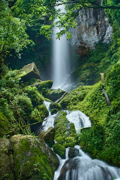 Sialang Waterfall, Indonesia