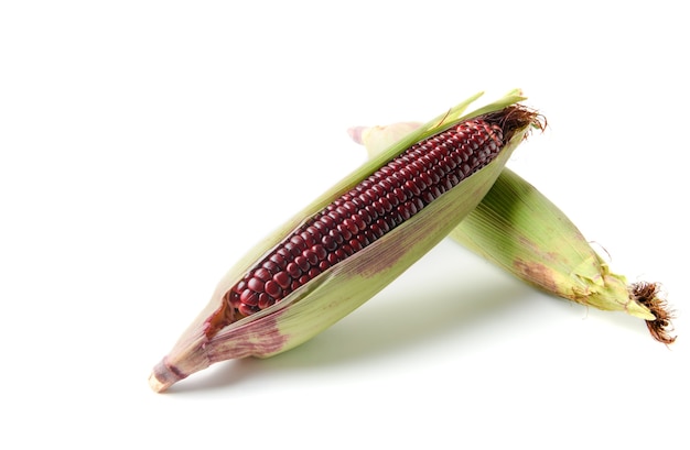 Siam Ruby Queen Corn isolated on white background, 