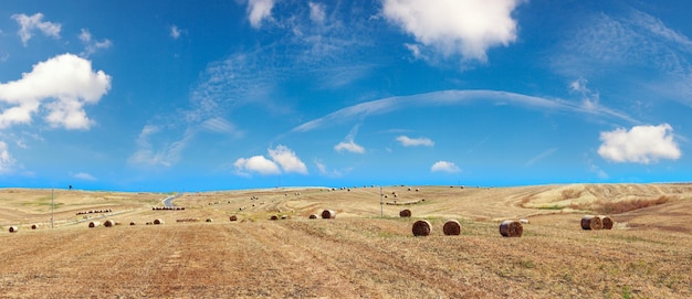 Sicily summer agriculture countryside Italy