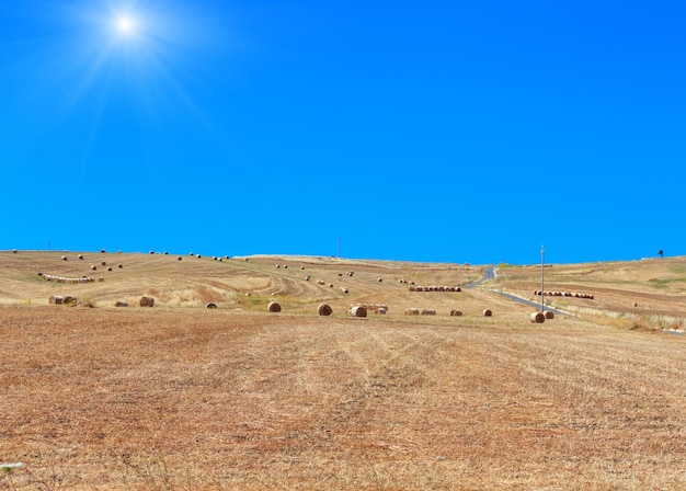 Sicily summer agriculture countryside Italy