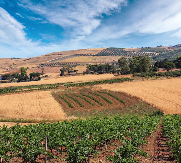 Sicily summer agriculture countryside Italy