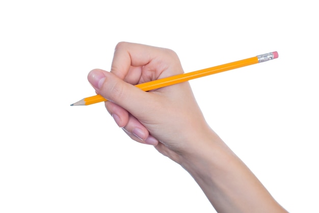 Side profile half turned close up woman's hand holding pencil with eraser isolated on white wall copyspace