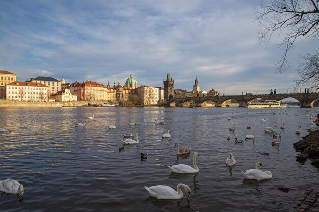 Side view of Charles Bridge in Prague on the banks of the Vltava River