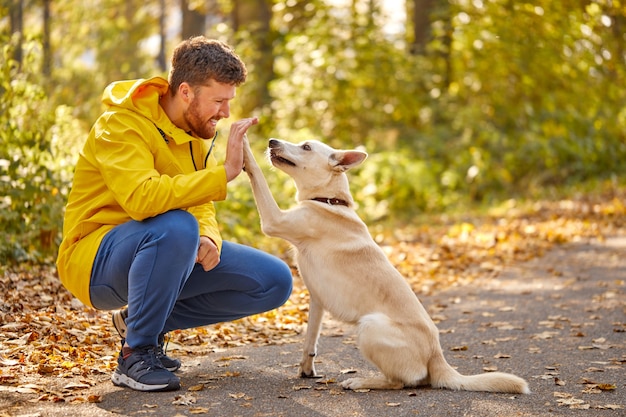 Side view on friendly man playing with dog in the nature, smiling guy spend time with animal, walk