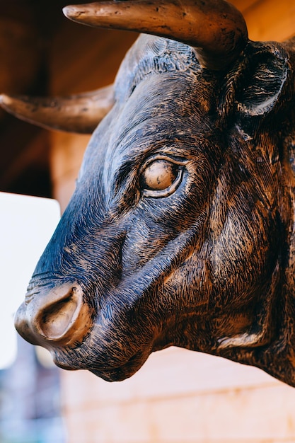 Side view of iron bull head on wooden wall