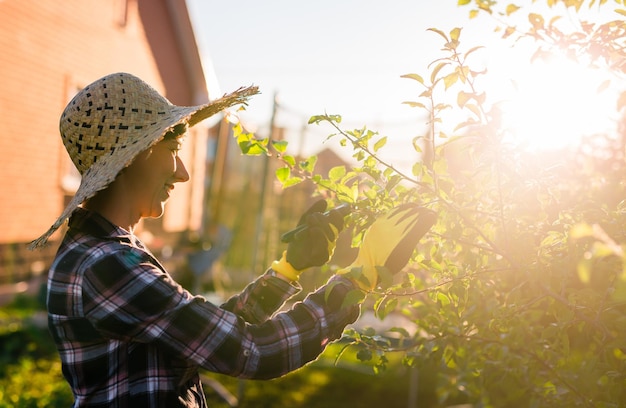 Side view of joyful young caucasian woman gardener cuts unnecessary branches and leaves from a tree with pruning shears while processing an apple tree in the garden Gardening and hobby concept