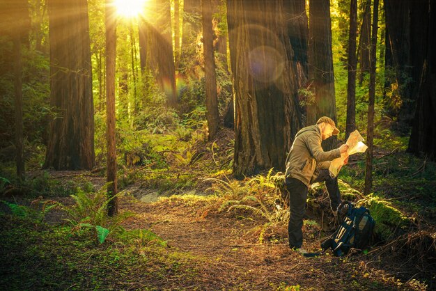 Photo side view of man reading map in forest