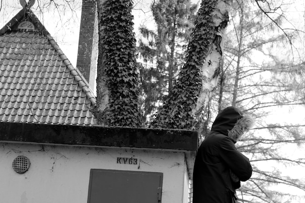 Photo side view of person wearing hooded shirt against bare trees during winter