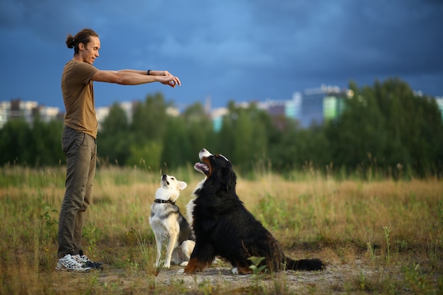 Side view at a young stylish caucasian man training two dogs