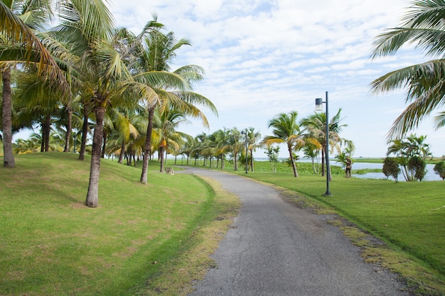 sidewalk in the park