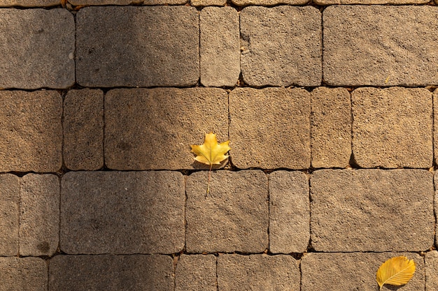 Sidewalk stones of various shapes and several fallen autumn leaves in the sunset light. Masonry texture with shadows. Copy space