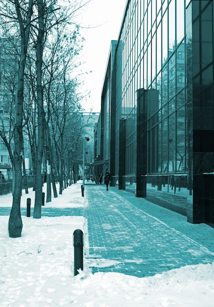 A sidewalk with a tree in front of it and a building with a sign that says " no parking ".