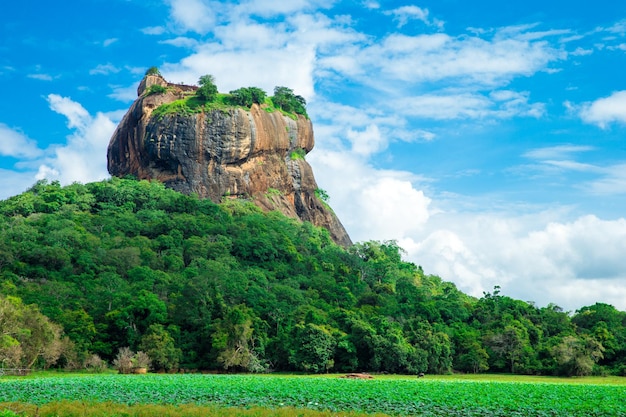 Sigiriya Lion Rock Fortress in Sri Lanka