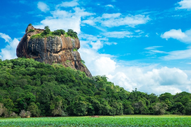 Sigiriya Lion Rock Fortress in Sri Lanka