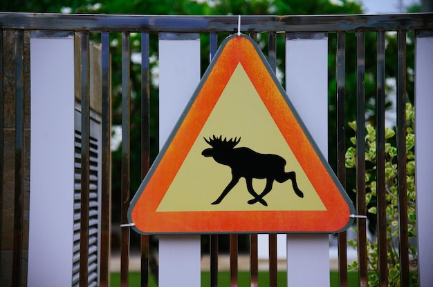 sign caution animals on the road close up