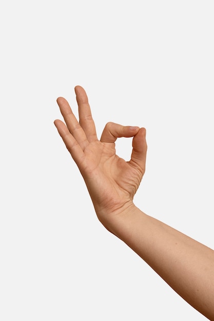 Sign language hand gesture