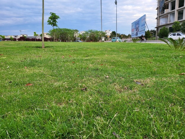 Photo a sign on a pole is in the grass that says  stop