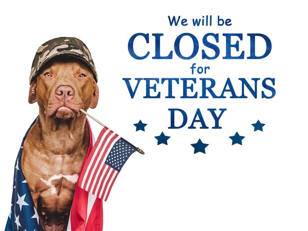 Signboard We will be closed for Veterans Day