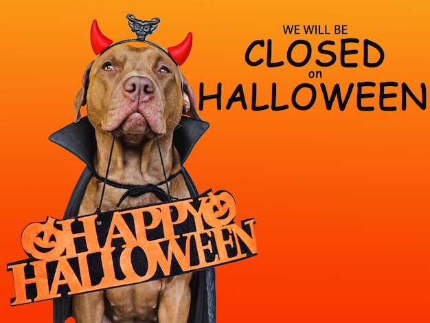 Signboard with the inscription We will be closed on Halloween