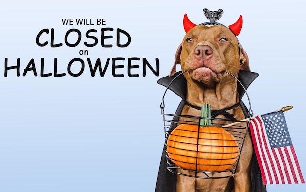 Signboard with the inscription We will be closed on Halloween