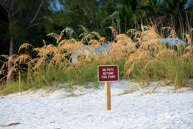 Signboard with warning about no pets beyond this point on seaside beach with small sand dunes and grassy vegetation on warm summer day