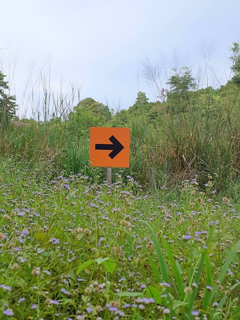 Signpost to the right on a forest trail