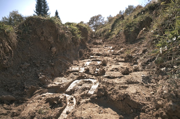 Signs of horses passing on trail2