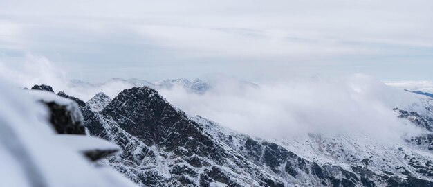 Silence among the snow-capped mountains, panorama, incredible wildlife